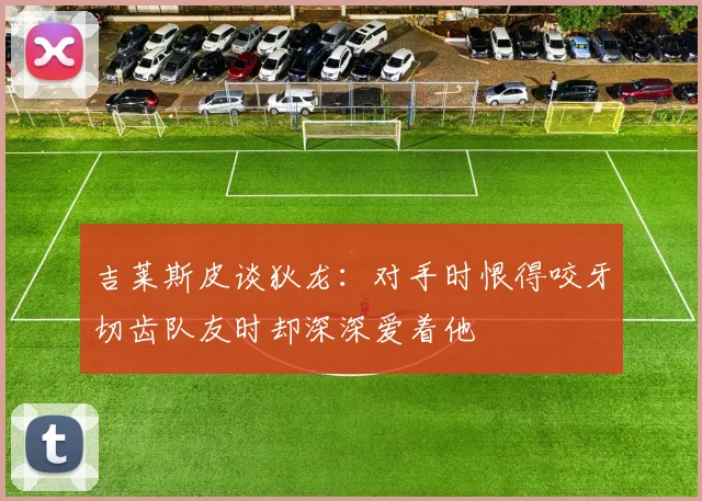 吉莱斯皮谈狄龙：对手时恨得咬牙切齿队友时却深深爱着他