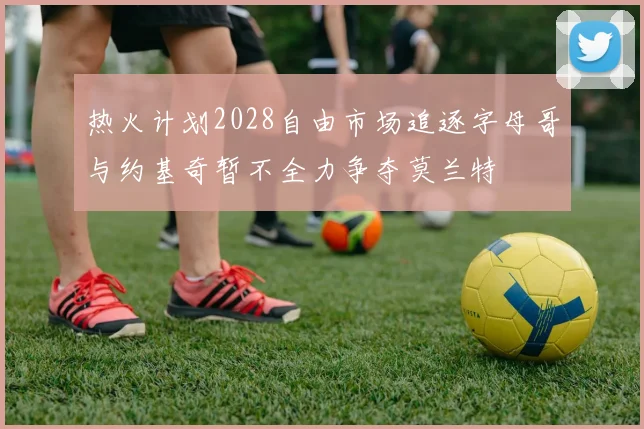 热火计划2028自由市场追逐字母哥与约基奇暂不全力争夺莫兰特